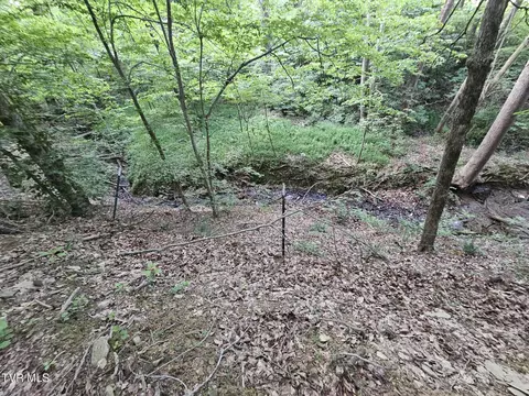 2264 Devault Bridge Road Piney Flats Tn 37686, Piney Flats, TN 37686 photo 28
