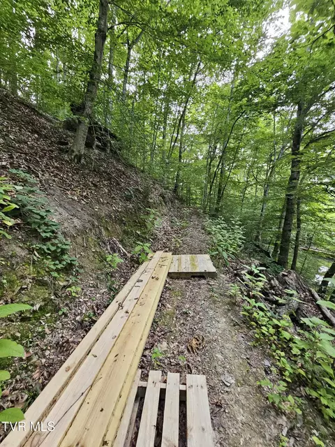 2264 Devault Bridge Road Piney Flats Tn 37686, Piney Flats, TN 37686 photo 3