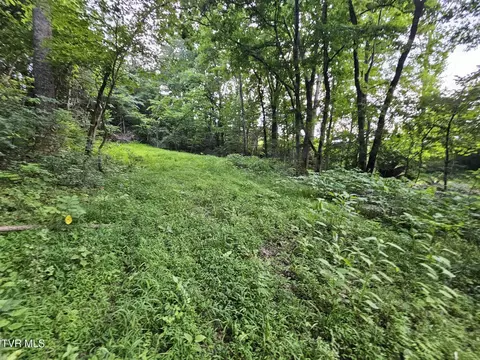2264 Devault Bridge Road Piney Flats Tn 37686, Piney Flats, TN 37686 photo 25