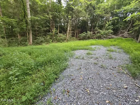 2264 Devault Bridge Road Piney Flats Tn 37686, Piney Flats, TN 37686 photo 13