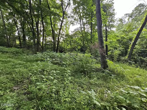 2264 Devault Bridge Road Piney Flats Tn 37686, Piney Flats, TN 37686 photo 21