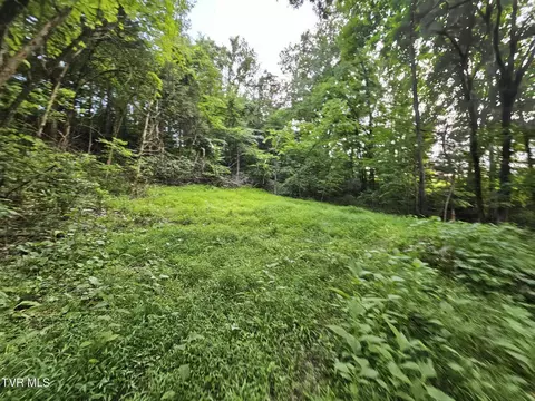 2264 Devault Bridge Road Piney Flats Tn 37686, Piney Flats, TN 37686 photo 4