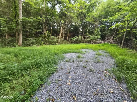 2264 Devault Bridge Road Piney Flats Tn 37686, Piney Flats, TN 37686 photo 11