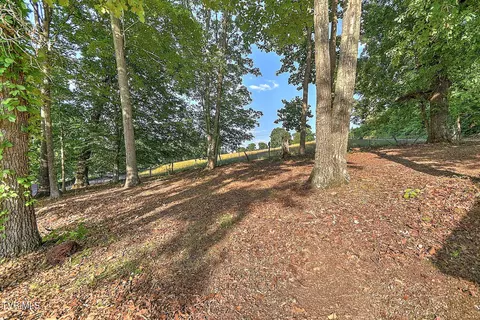 Exterior - 55 Short Road Limestone Tn 37681, Limestone, TN 37681 photo 8 of 12