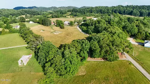 View/Area - 55 Short Road Limestone Tn 37681, Limestone, TN 37681 photo 11 of 13