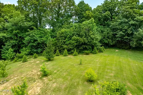 Exterior - 3433 Highway 81 Fall Branch Tn 37656, Fall Branch, TN 37656 photo 15 of 15