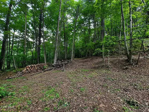 tbd Willow Lane Greeneville Tn 37743, Greeneville, TN 37743
