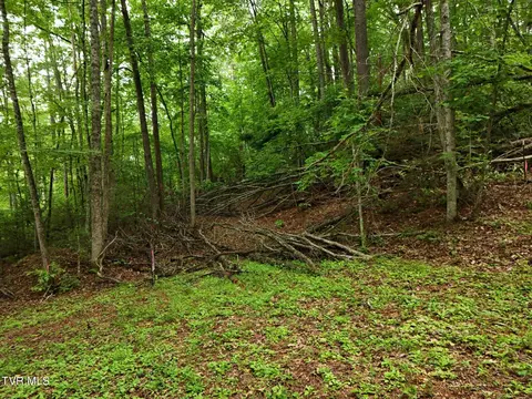 tbd Willow Lane Greeneville Tn 37743, Greeneville, TN 37743