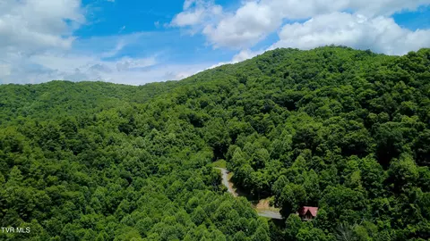 115 Deer Run Drive Flag Pond Tn 37657, Flag Pond, TN 37657
