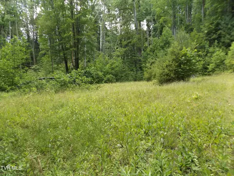 709 Heartwood Lane Lot 5 Butler Tn 37640, Butler, TN 37640
