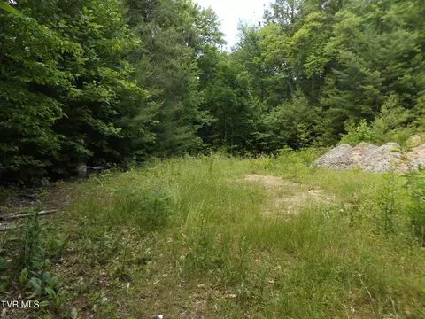 701 Heartwood Lane Lot 2 Butler Tn 37640, Butler, TN 37640