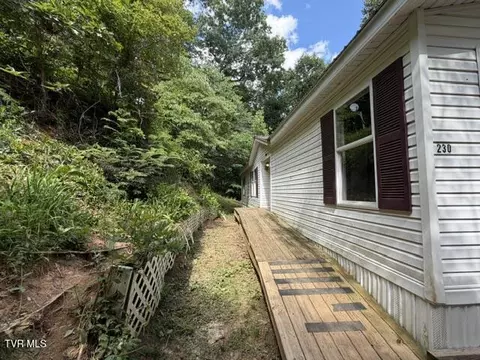 230 Ridge Road Weber City Va 24290, Weber City, VA 24290