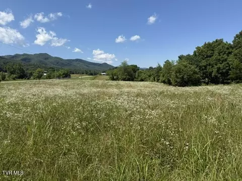 tbd Highway 107 101 04701 Jonesborough Tn 37659, Jonesborough, TN 37659