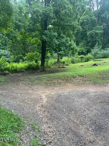 0 Beartown Road Kingsport Tn 37660, Kingsport, TN 37660