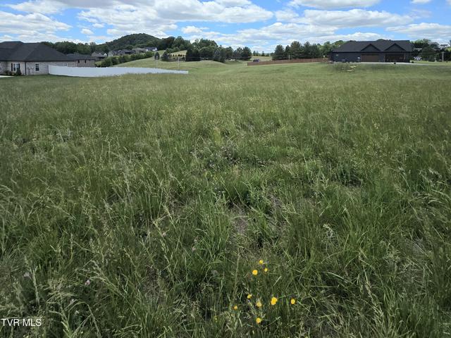 0 Cattlemans Trail Jonesborough Tn 37659, Jonesborough, TN 37659
