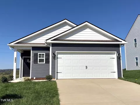316 Chimney View Loop Blountville Tn 37617, Blountville, TN 37617