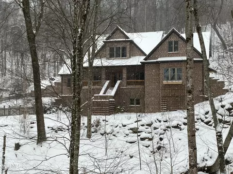 117 Toms Creek Drive Roan Mountain Tn 37687, Roan Mountain, TN 37687