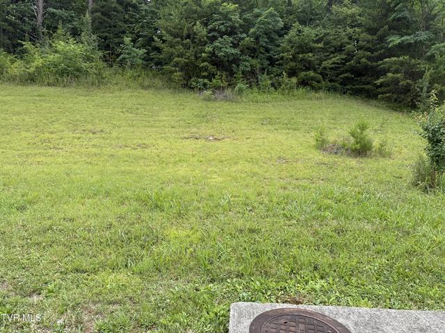 142 Brighton Place Bristol Tn 37620, Bristol, TN 37620