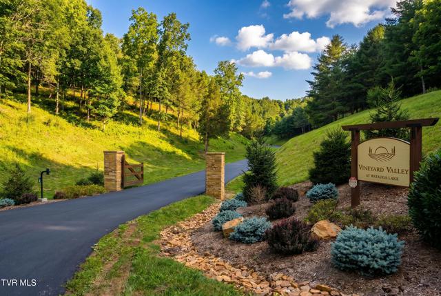 lot18 Vineyard Valley Trail Butler Tn 37640, Butler, TN 37640