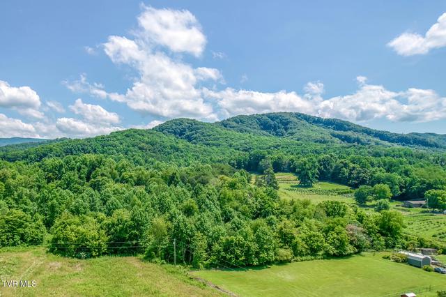 1685 Highway 107 - 22 Acre Jonesborough Tn 37659, Jonesborough, TN 37659