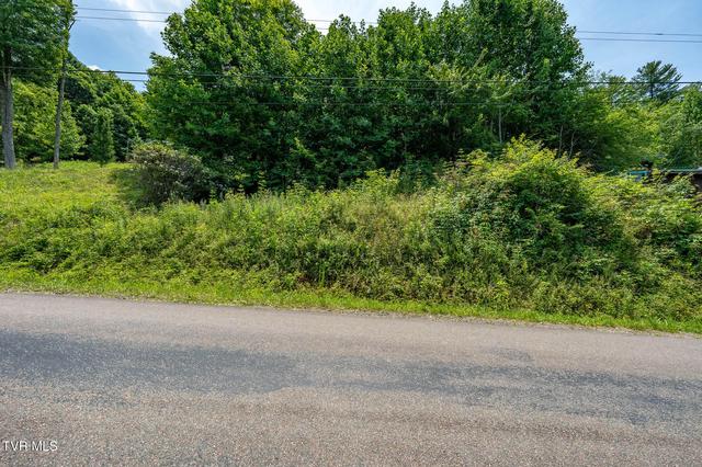 tbd Sink Valley Road Butler Tn 37640, Butler, TN 37640