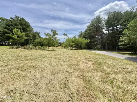 110 Lake Hollow Road Piney Flats Tn 37686, Piney Flats, TN 37686