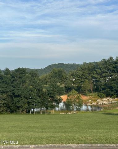 6022 Paradise Cove Drive Mooresburg Tn 37811, Mooresburg, TN 37811
