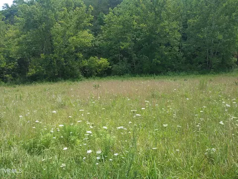 000 War Creek Road Edison Tn 37731, Edison, TN 37731 photo 11