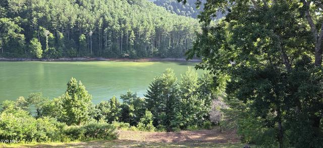 tbd Lake Hill Butler Tn 37640, Butler, TN 37640