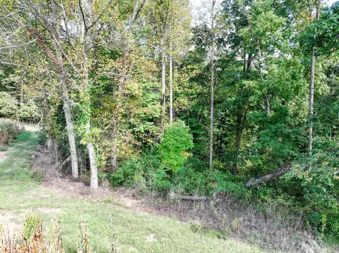 0- Tbd Glendale Road Bybee Tn 37713, Bybee, TN 37713 photo 16