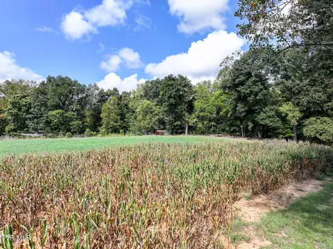 0- Tbd Glendale Road Bybee Tn 37713, Bybee, TN 37713 photo 19