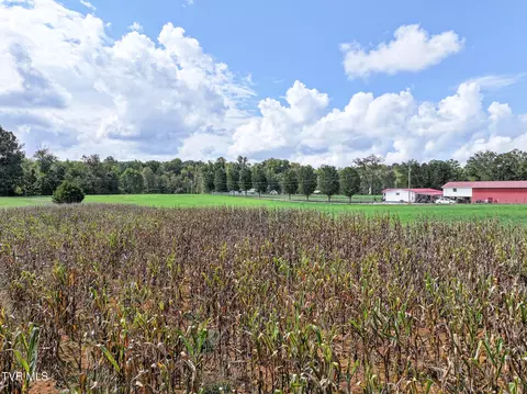 0- Tbd Glendale Road Bybee Tn 37713, Bybee, TN 37713 photo 18