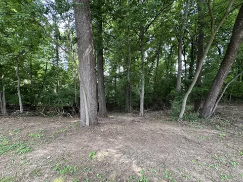 732 Greenbriar Road Talbott Tn 37877, Talbott, TN 37877 photo 6