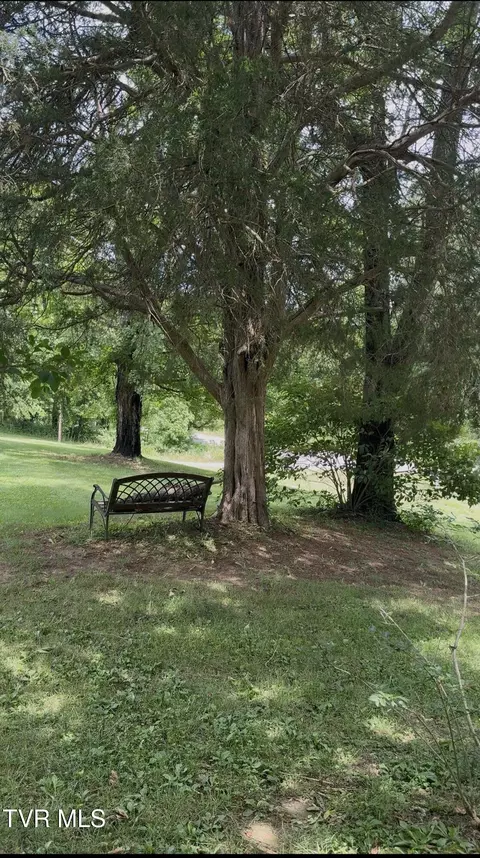 255 Riverview Drive Johnson City Tn 37601, Johnson City, TN 37601 photo 15