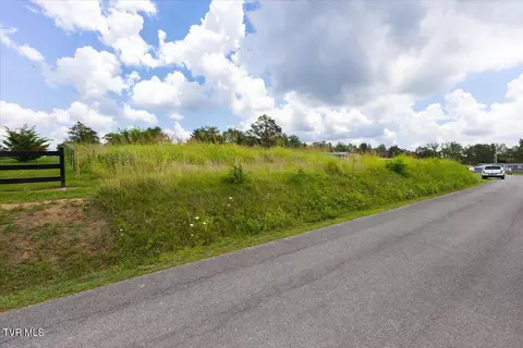 0 Matthews Loop Mohawk Tn 37810, Mohawk, TN 37810 photo 12