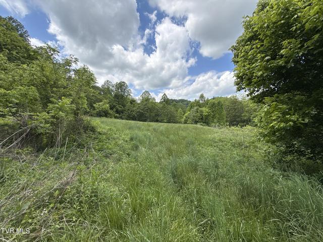 429 Ac Tbd Fisher Valley Road Eidson Tn 37731, Eidson, TN 37731