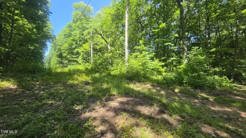 tbd Forest Road Coeburn Va 24230, Coeburn, VA 24230 photo 5
