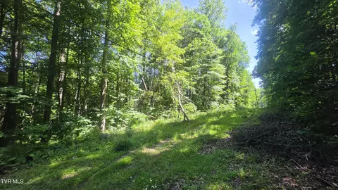 tbd Forest Road Coeburn Va 24230, Coeburn, VA 24230 photo 3