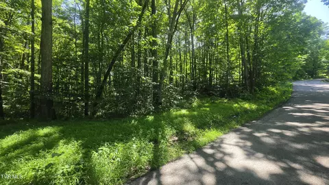 tbd Forest Road Coeburn Va 24230, Coeburn, VA 24230 photo 10