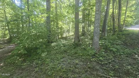 tbd Forest Road Coeburn Va 24230, Coeburn, VA 24230 photo 6