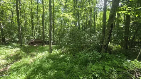 tbd Forest Road Coeburn Va 24230, Coeburn, VA 24230 photo 11