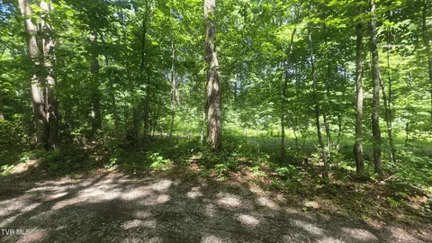 tbd Forest Road Coeburn Va 24230, Coeburn, VA 24230 photo 7