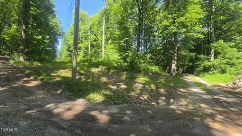 tbd Forest Road Coeburn Va 24230, Coeburn, VA 24230 photo 8