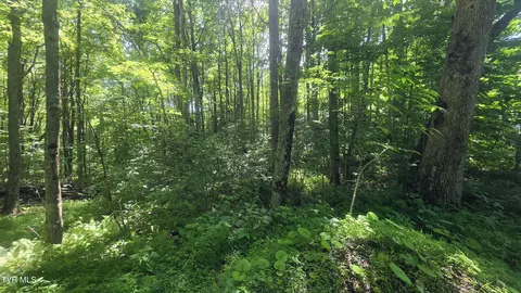 tbd Forest Road Coeburn Va 24230, Coeburn, VA 24230 photo 12