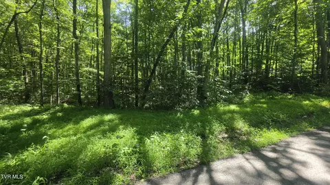 tbd Forest Road Coeburn Va 24230, Coeburn, VA 24230 photo 9