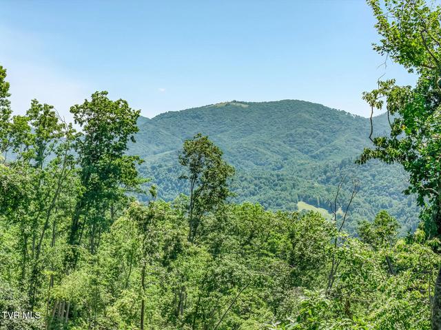 00 Iroquois Road Mountain City Tn 37683, Mountain City, TN 37683