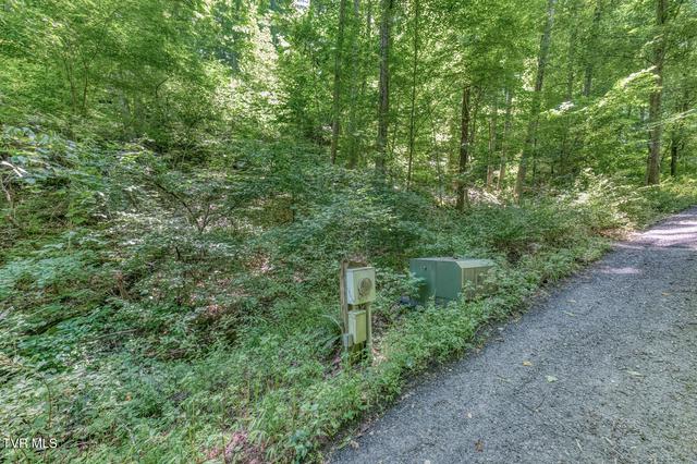 00 Banjo Ridge Butler Tn 37640, Butler, TN 37640
