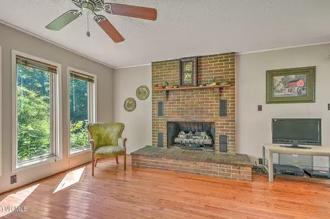 Living - 851 Adkins Lane Erwin Tn 37650, Erwin, TN 37650 photo 4 of 5