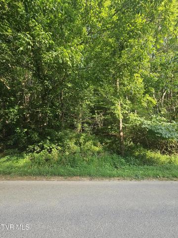 00 Crusenberry Road Saltville Va 24370, Saltville, VA 24370