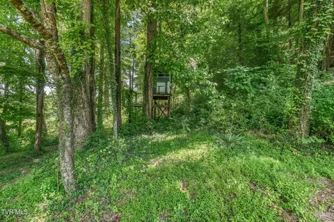 Exterior - 1812 N Main Avenue Erwin Tn 37650, Erwin, TN 37650 photo 20 of 22